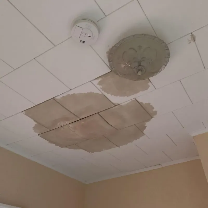 Ceiling Water Damage Repair in Mount Pleasant, WI