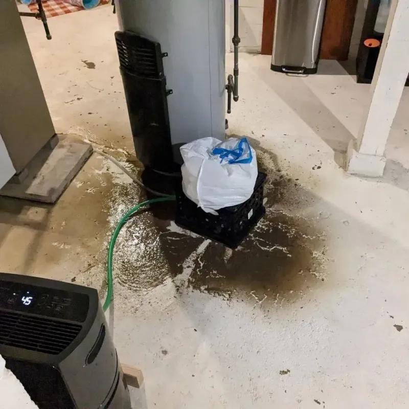 Sewage Backup Cleanup Service in Mount Pleasant, WI